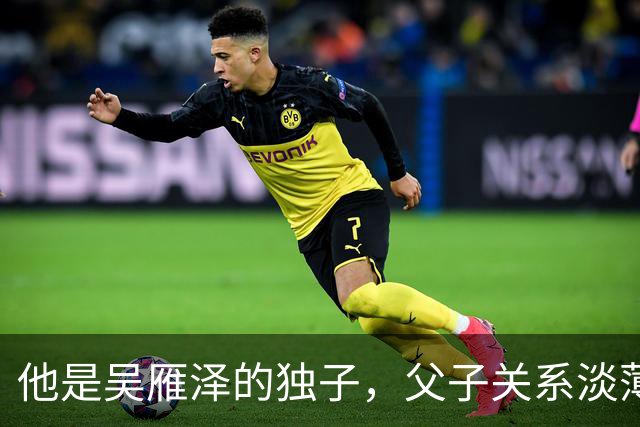 他是吴雁泽的独子，父子关系淡薄，与母亲定居温哥华，如今是律师