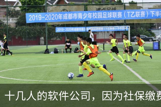 十几人的软件公司，因为社保缴费基数要调整，一年要增加50万成本