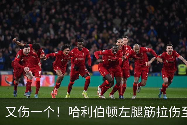 又伤一个！哈利伯顿左腿筋拉伤至少缺席2周