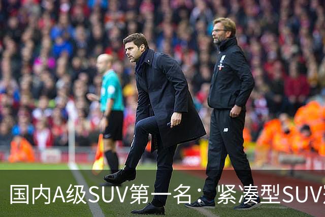 国内A级SUV第一名：紧凑型SUV冠军车，9个月时间销量破14万台
