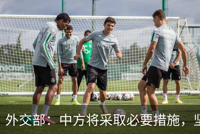 外交部：中方将采取必要措施，坚决维护中国企业合法权益