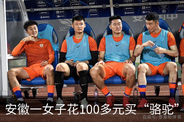 安徽一女子花100多元买“骆驼”冲锋衣，收到货一看，logo竟是一头咧着嘴笑的驴！有人质疑这是擦边，商家：商标已注册，不要只看图片外观