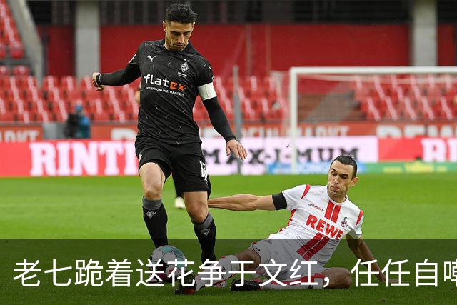 老七跪着送花争于文红，任任自嘲已看淡感情